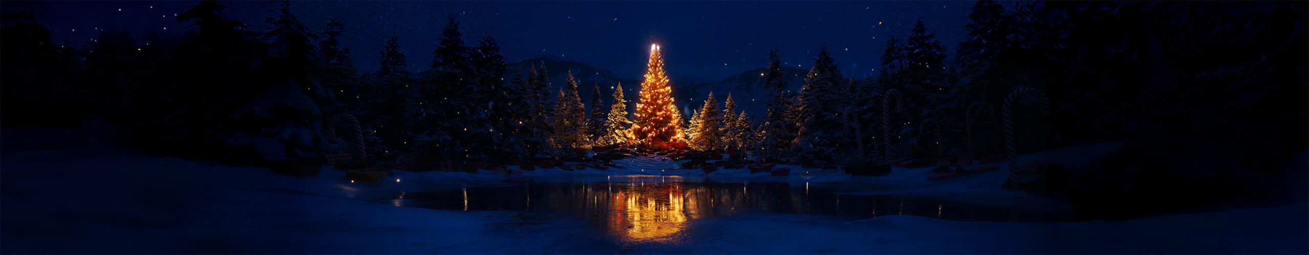 zwadderkotmolen_eindejaar